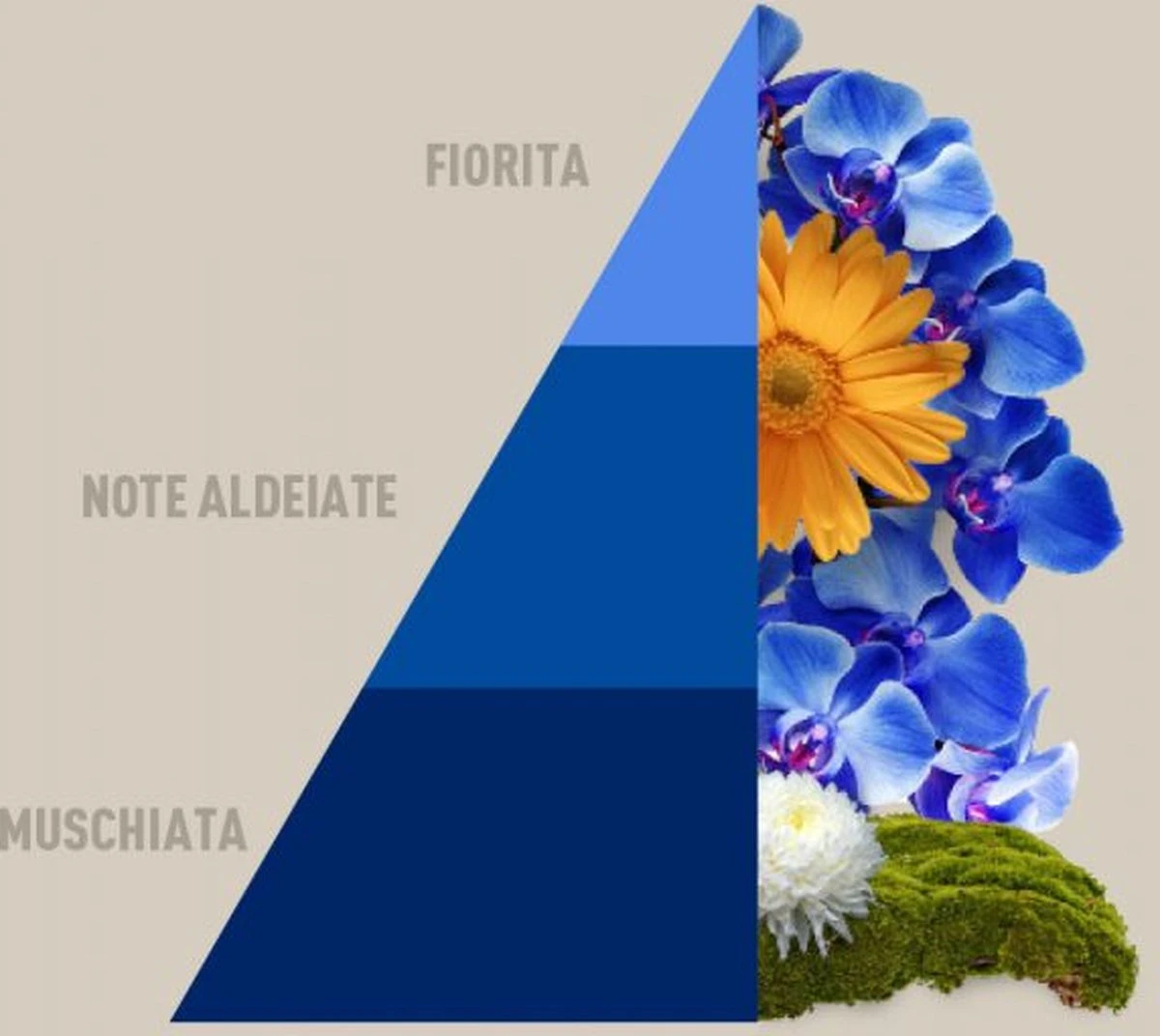 Horomia Wasparfum Blue-Fior-di-Loto - 500ml 4 Horomia Wasparfum Blue-Fior-di-Loto - 500ml - Afbeelding 2