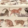 Emma Bridgewater Cats - Vershouddoos - Bewaarblik - Rechthoek - Poes 2 Emma Bridgewater Cats - Vershouddoos - Bewaarblik - Rechthoek - Poes -Huishoudelijke Artikelen Winkel 1200x1075 2