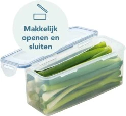 Lock&Lock Vershouddoos - Bewaardoos Met Deksel - Voor Ontbijtkoek Peperkoek En Cake - Cakedoos - 100% Luchtdicht - 2 Liter 21 Lock&Lock Vershouddoos - Bewaardoos Met Deksel - Voor Ontbijtkoek Peperkoek En Cake - Cakedoos - 100% Luchtdicht - 2 Liter -Huishoudelijke Artikelen Winkel 1200x1104 1