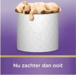 Scottex Toiletpapier - Kussenzacht Design Wc Papier - 84 Rollen 11 Scottex Toiletpapier - Kussenzacht Design Wc Papier - 84 Rollen -Huishoudelijke Artikelen Winkel 1200x1197 25