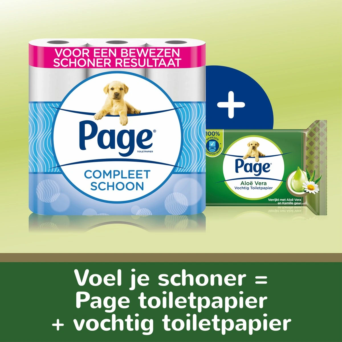 Page Vochtig Toiletpapier - 12 X 38 Stuks - Aloë Vera Vochtig Wc Papier - Voordeelverpakking 5 Page Vochtig Toiletpapier - 12 X 38 Stuks - Aloë Vera Vochtig Wc Papier - Voordeelverpakking - Afbeelding 3