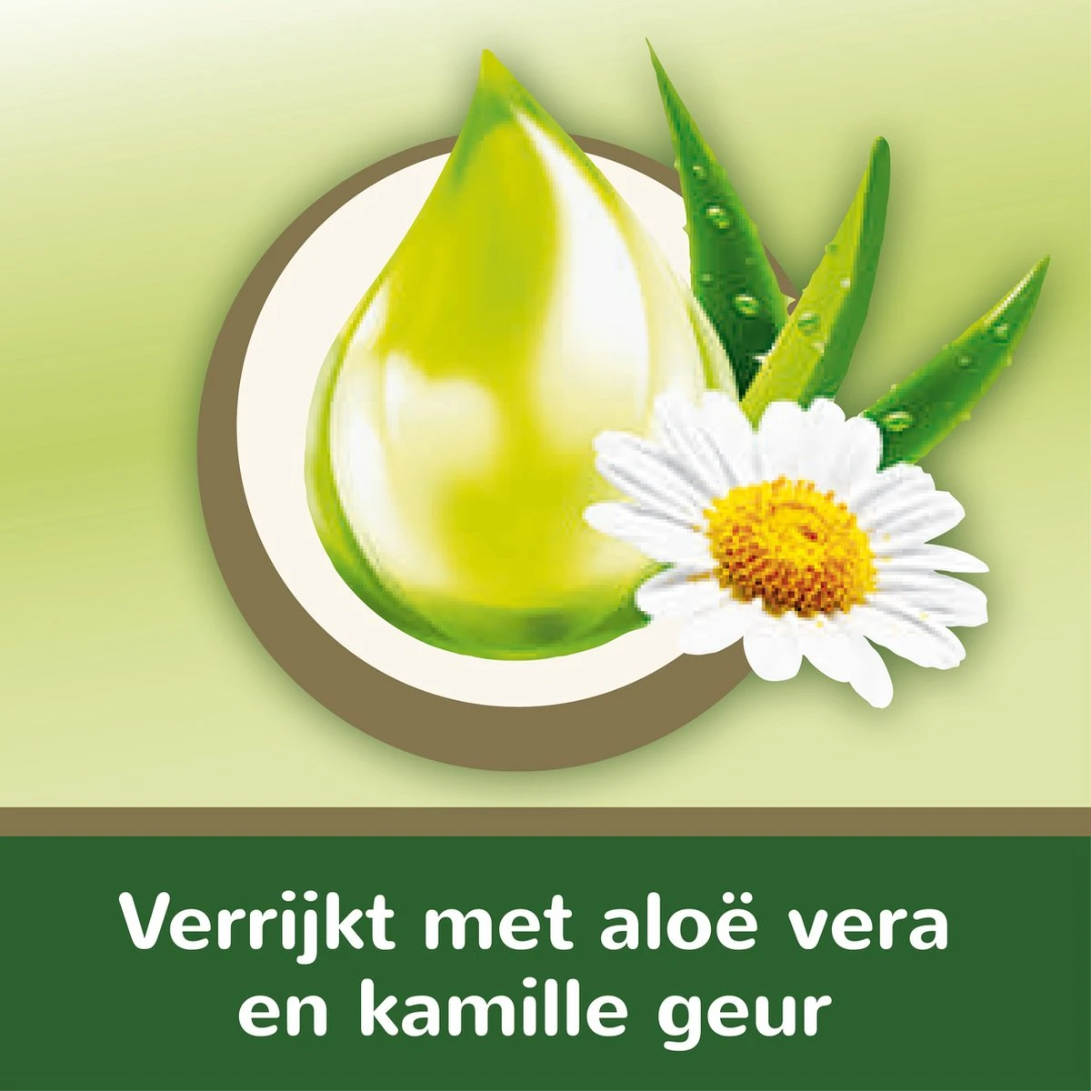 Page Vochtig Toiletpapier - 12 X 38 Stuks - Aloë Vera Vochtig Wc Papier - Voordeelverpakking 11 Page Vochtig Toiletpapier - 12 X 38 Stuks - Aloë Vera Vochtig Wc Papier - Voordeelverpakking - Afbeelding 9