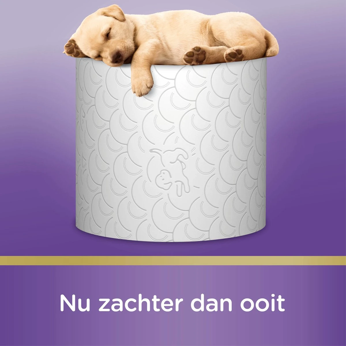 Page Toiletpapier - 63 Rollen - Kussenzacht Wc Papier (3-laags) - Met Extra Zijde - Voordeelverpakking 10 Page Toiletpapier - 63 Rollen - Kussenzacht Wc Papier (3-laags) - Met Extra Zijde - Voordeelverpakking - Afbeelding 8