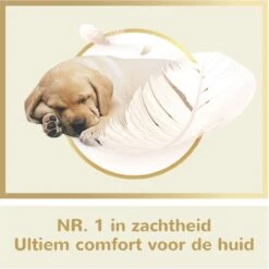 Page Puur Toiletpapier - 24 Rollen - Extra Duurzaam Wc Papier - Voordeelverpakking 13 Page Puur Toiletpapier - 24 Rollen - Extra Duurzaam Wc Papier - Voordeelverpakking -Huishoudelijke Artikelen Winkel 1200x1200 1726