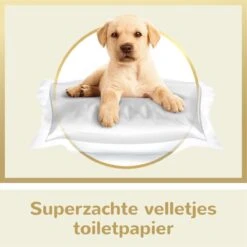 Page Puur Toiletpapier - 24 Rollen - Extra Duurzaam Wc Papier - Voordeelverpakking 15 Page Puur Toiletpapier - 24 Rollen - Extra Duurzaam Wc Papier - Voordeelverpakking -Huishoudelijke Artikelen Winkel 1200x1200 1727