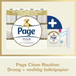 Page Puur Toiletpapier - 24 Rollen - Extra Duurzaam Wc Papier - Voordeelverpakking 17 Page Puur Toiletpapier - 24 Rollen - Extra Duurzaam Wc Papier - Voordeelverpakking -Huishoudelijke Artikelen Winkel 1200x1200 1729