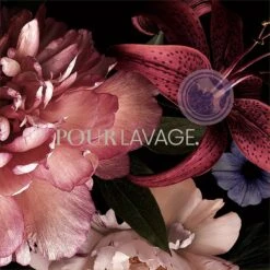 Lavayette Premium Wasparfum - Jasmin Shades - Geurbooster 500ml (Diamante) 14 Lavayette Premium Wasparfum - Jasmin Shades - Geurbooster 500ml (Diamante) -Huishoudelijke Artikelen Winkel 1200x1200 470