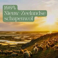 Miki's Goods® XL Wollen Drogerballen 6 Stuks - Panda Wasballen - Duurzaam - Wasbol - 100% Nieuw-Zeelandse Schapenwol - Wasbollen - Herbruikbaar- Droogballen - Snellere Droogtijd - Zuigt Dierenharen Op 16 Miki's Goods® XL Wollen Drogerballen 6 Stuks - Panda Wasballen - Duurzaam - Wasbol - 100% Nieuw-Zeelandse Schapenwol - Wasbollen - Herbruikbaar- Droogballen - Snellere Droogtijd - Zuigt Dierenharen Op -Huishoudelijke Artikelen Winkel 1200x1200 642