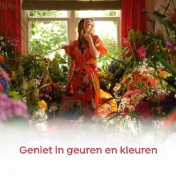 Robijn Klein & Krachtig Rosé Chique Vloeibaar Wasmiddel - 8 X 19 Wasbeurten - Voordeelverpakking 12 Robijn Klein & Krachtig Rosé Chique Vloeibaar Wasmiddel - 8 X 19 Wasbeurten - Voordeelverpakking -Huishoudelijke Artikelen Winkel 1200x1200 68