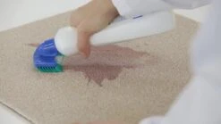 Dr. Beckmann Tapijtvlekkenborstel - Tapijtreiniging - Tapijt Vlekverwijderaar Met Borstel - Schoon Tapijt - Dierenvlekkenverwijderaar 10 Dr. Beckmann Tapijtvlekkenborstel - Tapijtreiniging - Tapijt Vlekverwijderaar Met Borstel - Schoon Tapijt - Dierenvlekkenverwijderaar -Huishoudelijke Artikelen Winkel 1200x674