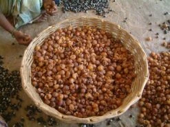 Wasnoten Start 150gr Met Waszakje - Zeepnoten - Natuurlijk Wassen 13 Wasnoten Start 150gr Met Waszakje - Zeepnoten - Natuurlijk Wassen -Huishoudelijke Artikelen Winkel 1200x900