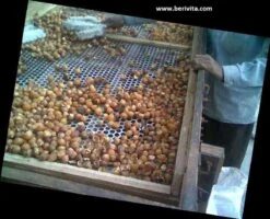 Wasnoten Start 150gr Met Waszakje - Zeepnoten - Natuurlijk Wassen 14 Wasnoten Start 150gr Met Waszakje - Zeepnoten - Natuurlijk Wassen -Huishoudelijke Artikelen Winkel 1200x973