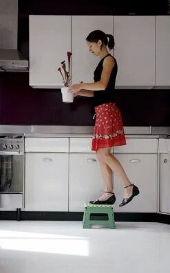 PUHLMANN - Inklapbare Kruk, JAMES, Plastic, Groen, 22 Cm Hoog, Max 100kilo 14 PUHLMANN - Inklapbare Kruk, JAMES, Plastic, Groen, 22 Cm Hoog, Max 100kilo -Huishoudelijke Artikelen Winkel 746x1200 3