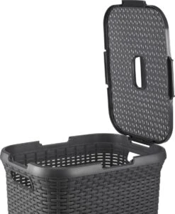 Curver Style Wasmand Met Deksel - 60L - 2 Stuks - Antraciet -Huishoudelijke Artikelen Winkel 984x1200 1